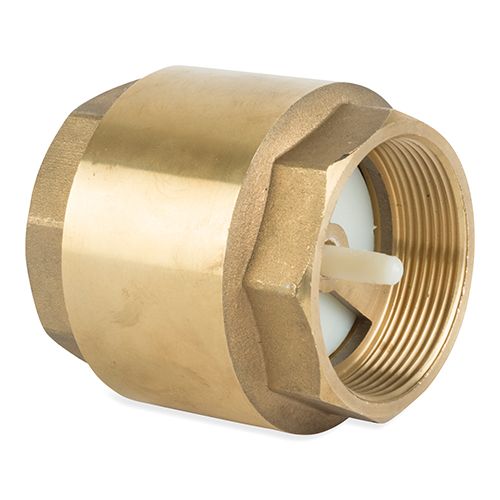 spring check valve